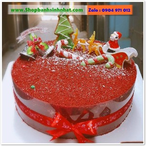 Bánh Sinh Nhật Tiramisu - T212